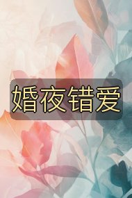 婚夜错爱封面