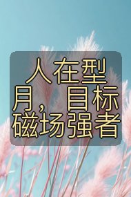 人在型月，目标磁场强者封面