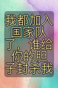 我都加入国家队了，谁给你的胆子封杀我封面