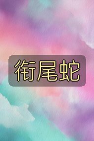 衔尾蛇封面