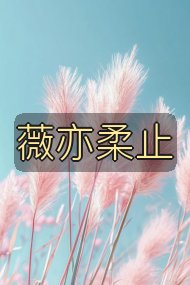 薇亦柔止封面