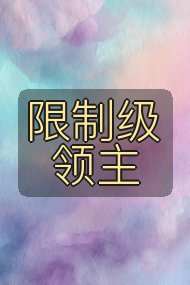 限制级领主封面