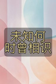 未知何时曾相识封面