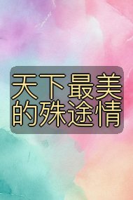 天下最美的殊途情封面