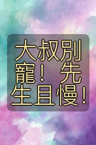 大叔別寵!先生且慢!封面