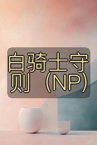 白骑士守则（NP）封面