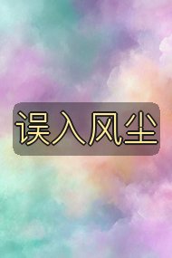误入风尘封面