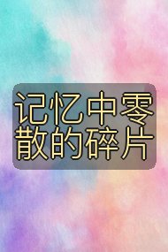 记忆中零散的碎片封面