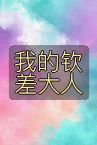 我的钦差大人封面