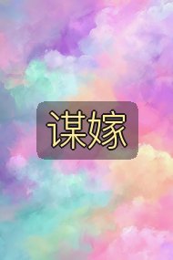 谋嫁封面